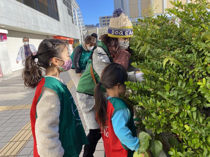 1/16も、走ってゴミ拾い「プロギング」があります！画像