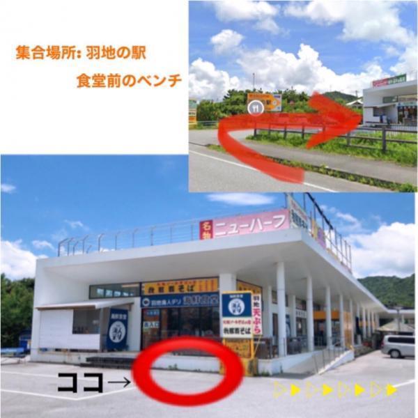【沖縄】満員御礼　シーカヤックでゴミ拾い画像