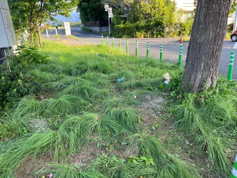 ＜静岡チーム＞2023年 安倍川花火大会翌朝 ごみ拾い画像