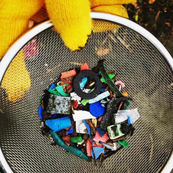 湘南江の島片瀬西浜海岸マイクロプラスチックビーチクリーン！画像