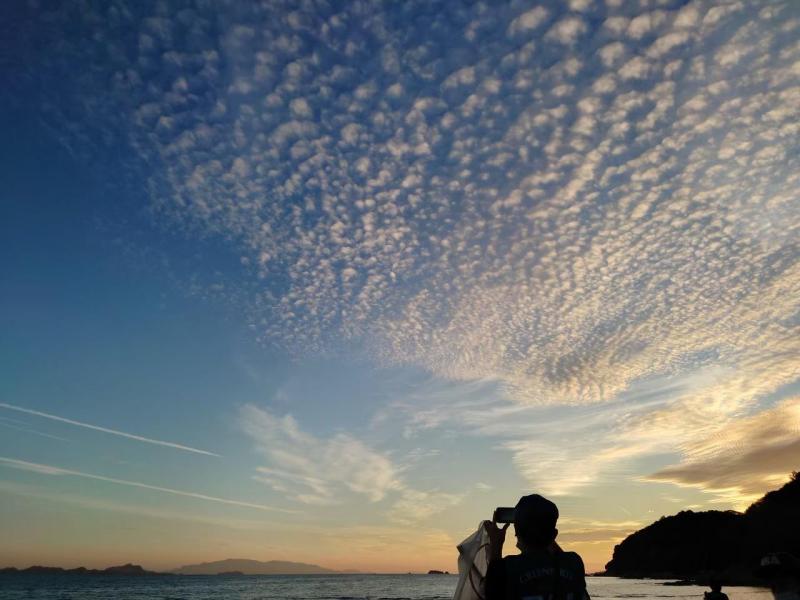 【姫路】2022おそうじまとめ画像