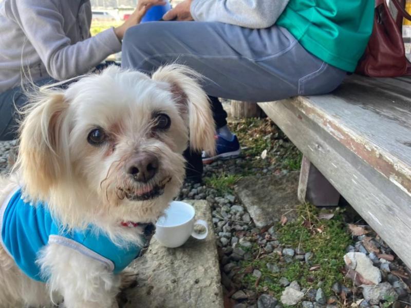 【姫路】2022おそうじまとめ画像