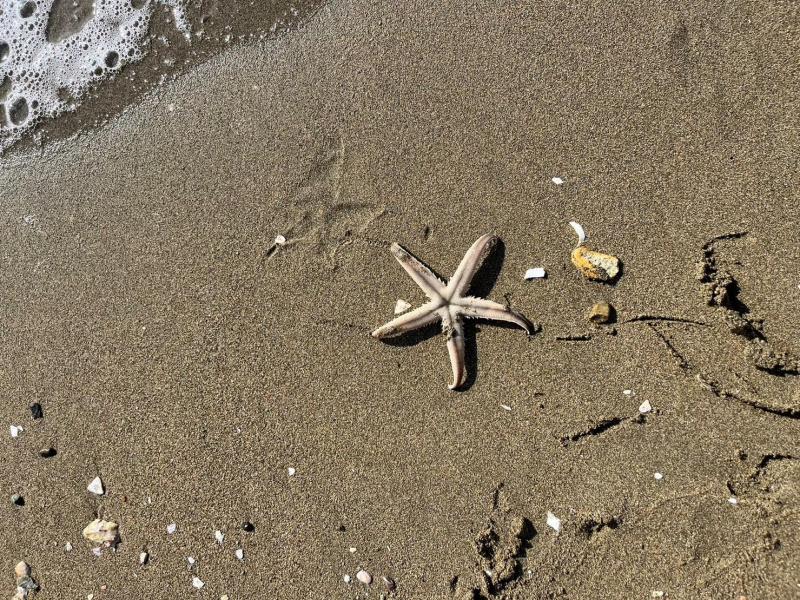 【姫路】うっすら雨雲画像