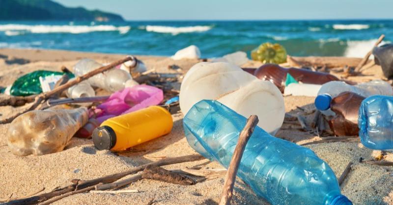 【静岡】5/20土マルシェ出店スタッフ募集！街中 常盤公園 プラごみアクセサリー画像