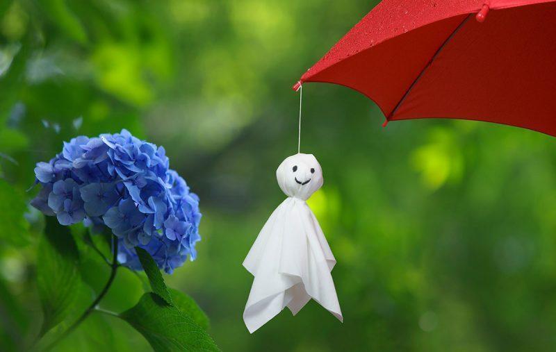 【静岡】梅雨時のごみ拾いは中止が多いかも画像