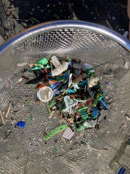 【9/24Sun9:00】湘南！江の島片瀬西浜海岸マイクロプラスチックビーチクリーン！画像