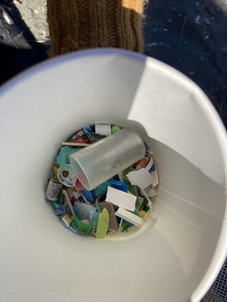 【9/24Sun9:00】湘南！江の島片瀬西浜海岸マイクロプラスチックビーチクリーン！画像