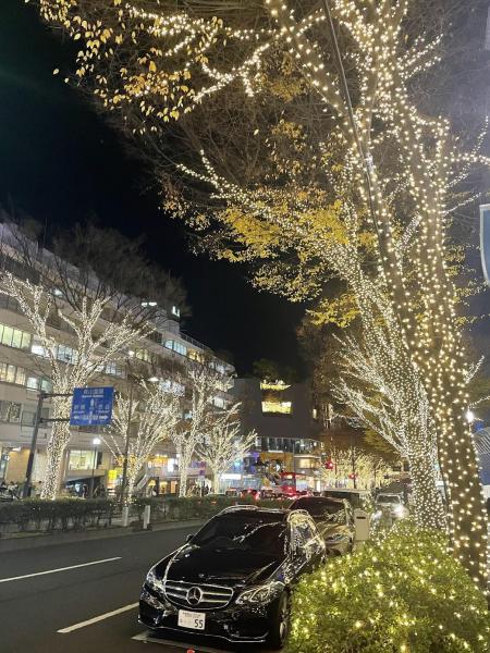 表参道クリスマスナイトそうじ★画像