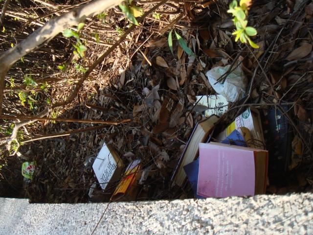 2007年 1月 30日 駒沢公園道り画像