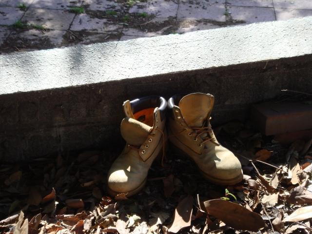 3月20日公園通りそうじ画像