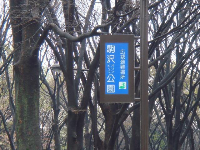 2007年 3月 30日 駒沢公園通りそうじ画像