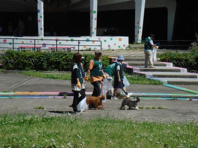 第26回　駒沢公園そうじ画像