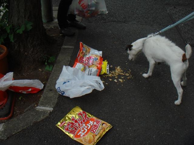 2007年 5月 30日 駒沢公園通りそうじ画像