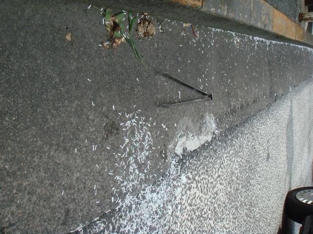 2007年 7月 20日 駒沢公園通りそうじ画像