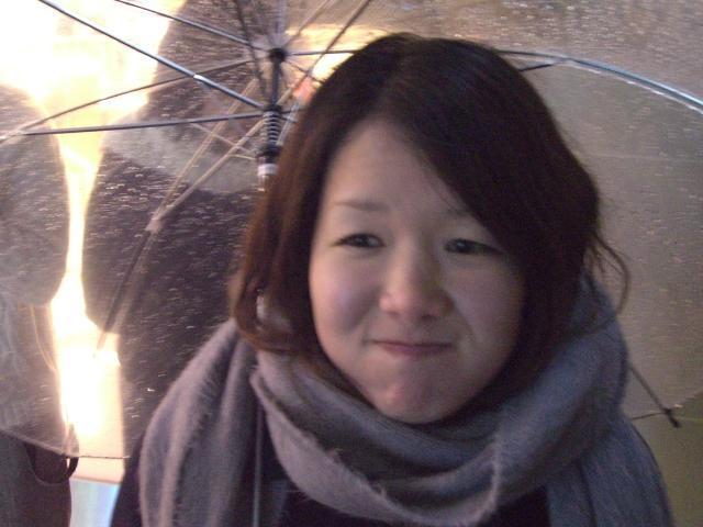 雪でした、雨でした画像