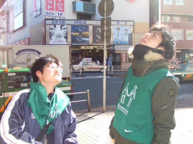 ハルヤスミ画像