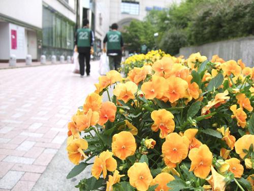 5月1日in福岡画像