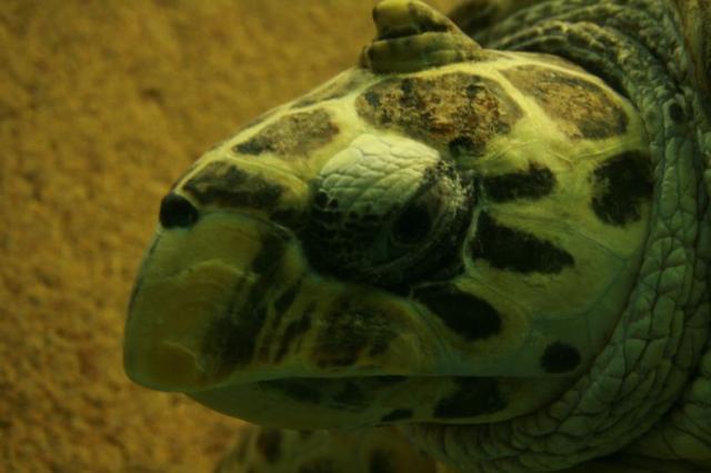 忘れ物の日画像