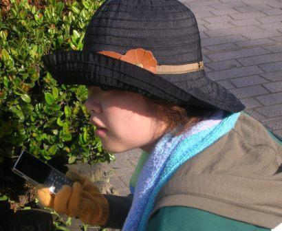 ちょっと涼しげｇｂ＠熊本画像