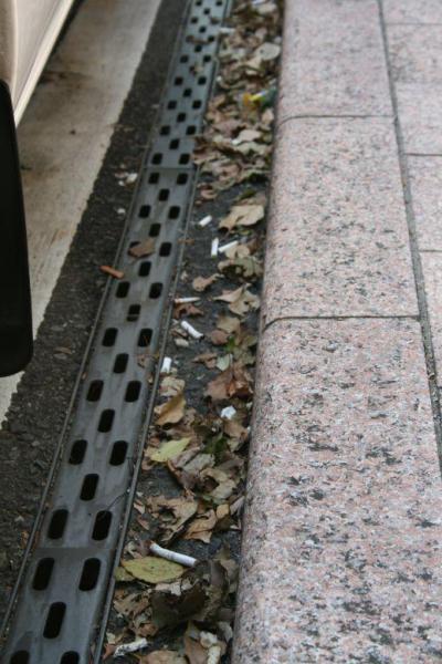 ファンキー・モンキー・ロンリー画像