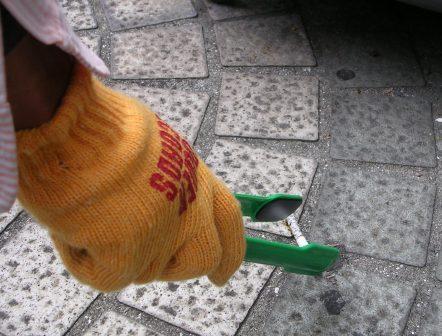 おそうじとみずあかりとワタシ画像