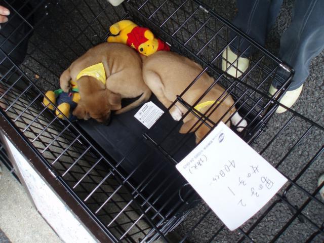 ひとりじゃない!!!画像