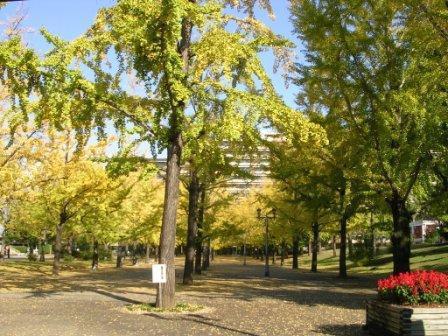 福岡研修with徹夜酒！？画像