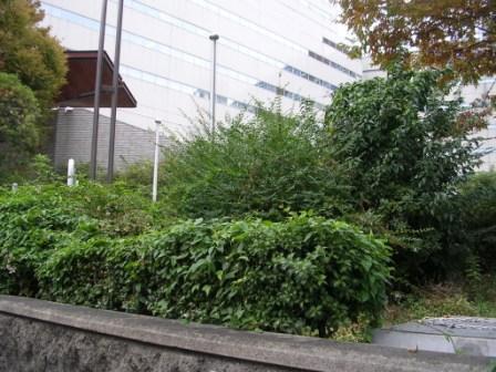 福岡研修with徹夜酒！？画像