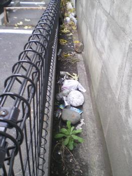 どこの子風の子画像