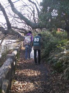 にこにこいのかしら〜画像