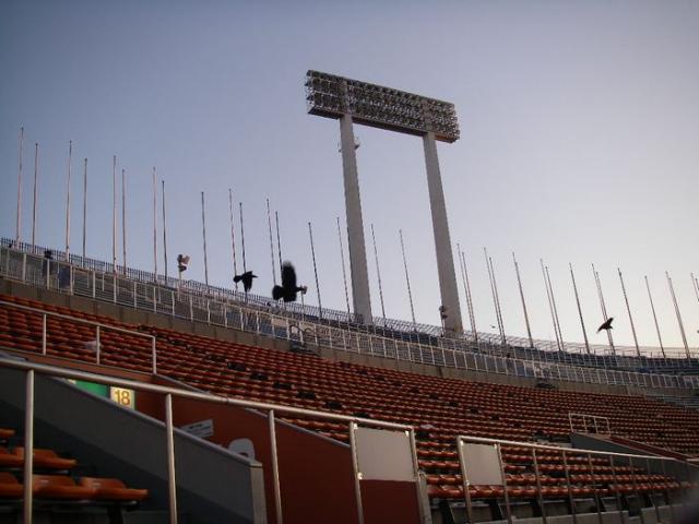 全国大学ラグビーフットボール選手権大会 決勝戦＜早稲田vs帝京＞画像