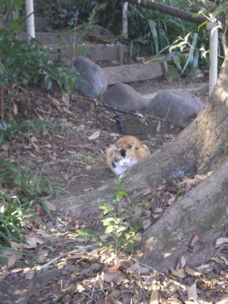 学生チーム２周年　vol.1画像