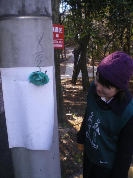 学生チーム２周年　vol.1画像