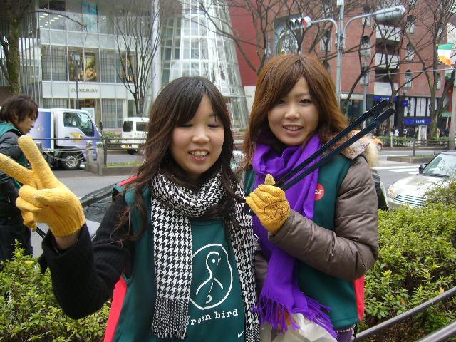 雪が積もると思ったのに・・・画像