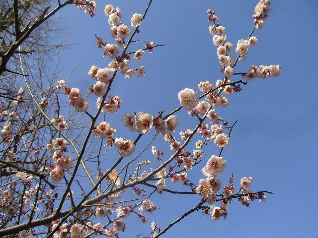 久々の表参道上陸!!!画像