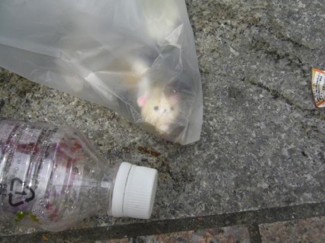 大量だぁぁぁぁぁ。画像