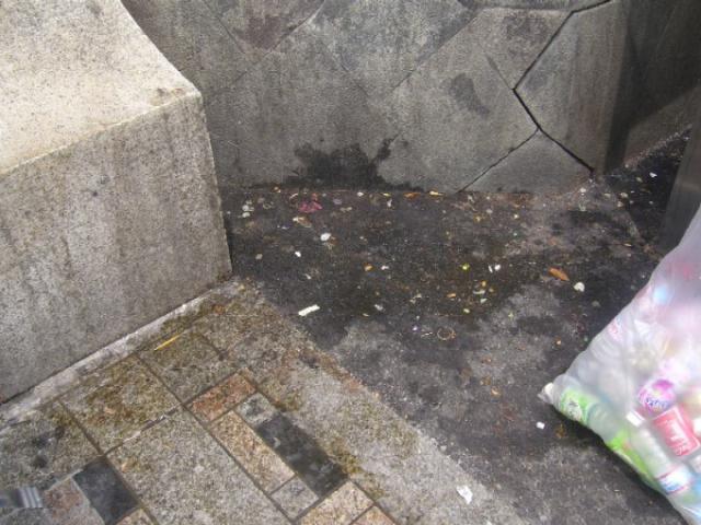 大量だぁぁぁぁぁ。画像