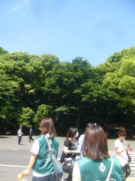 仕事ください。画像