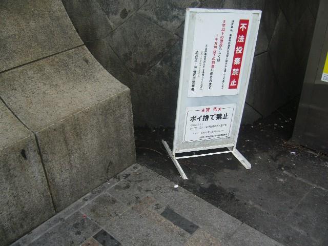 雨上がり。画像