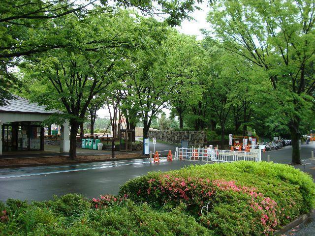 ラーメンかそれとも掃除か画像