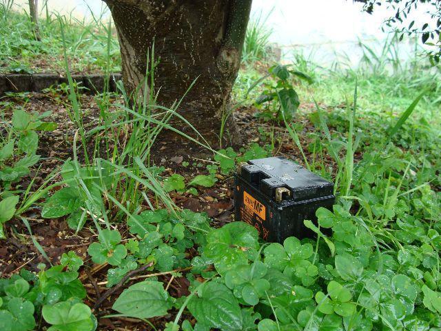 ラーメンかそれとも掃除か画像