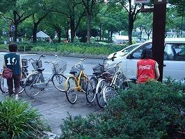 greenbird in キャンドルナイト画像