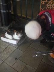 梅雨の晴れ間に・・・画像