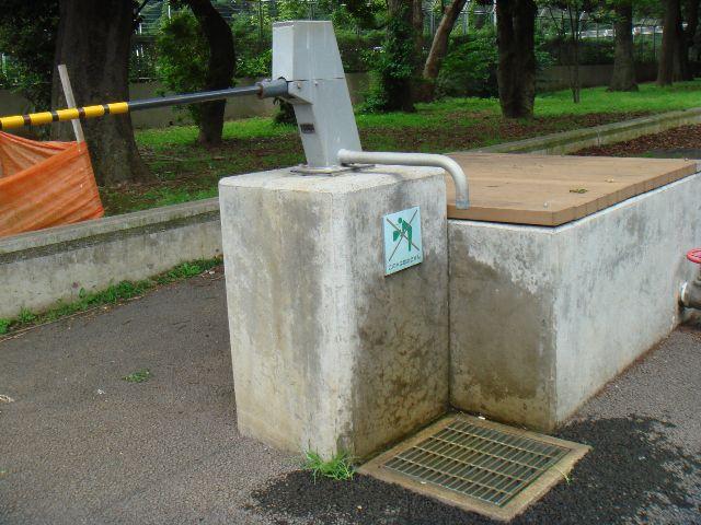 2009年 7月 5日 駒沢公園そうじ画像