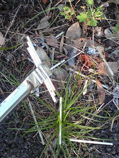 平戸から、残暑お見舞い申し上げます。画像