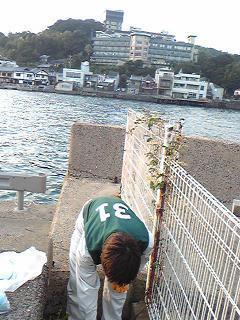 平戸から、残暑お見舞い申し上げます。画像