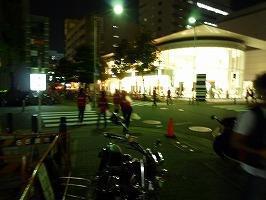 初めてバードがいっぱい！画像