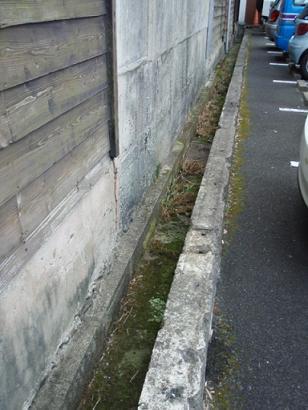 ９月８日　出会いの街、平戸。画像