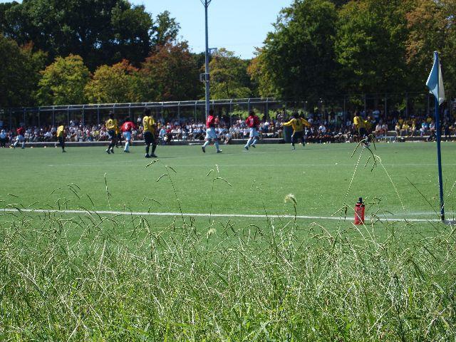 2009年 9月 20日 駒沢公園そうじ画像