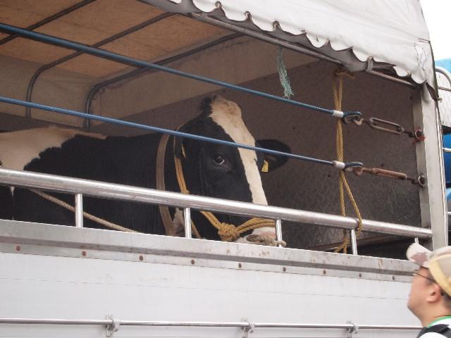 2009年 10月 4日 駒沢公園そうじ画像